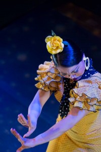 11951159_10153600621526228_2274562926375277741_n