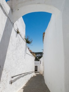 18278531_10155238061526228_4572898407809349717_o