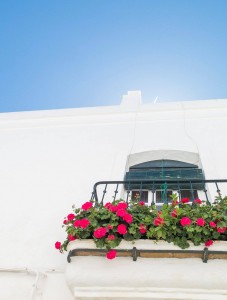 18320860_10155238061131228_5539244746592774966_o