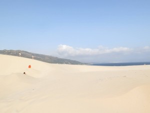 18922827_10155351919656228_7301536602527805882_o