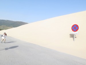 18953196_10155351911416228_8245860234979472740_o