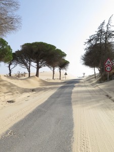 18955061_10155351911626228_4368958959710543385_o