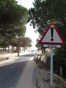 18955077_10155351911476228_4641001070582191386_o