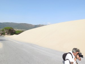 19023361_10155351911391228_8421440432032781669_o