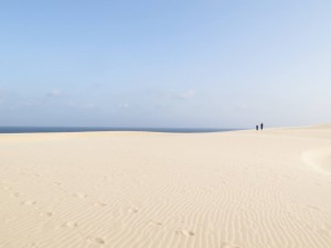 19023656_10155351920421228_1067070912961119620_o