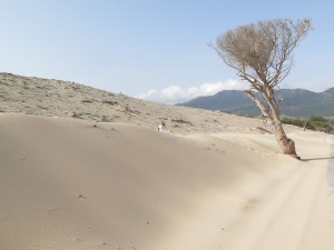 19025244_10155351911726228_7933604007901115372_o