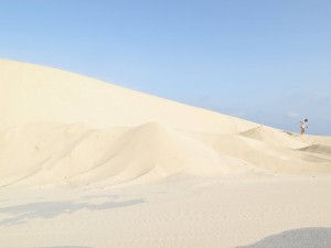 19025264_10155351918636228_2682840650880750186_o