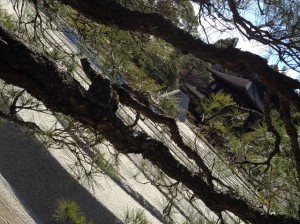 27624564_10156080055726228_7859597826721956345_o