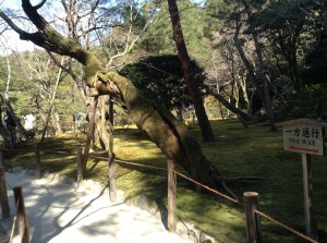 27625141_10156080055566228_8053016142078685828_o