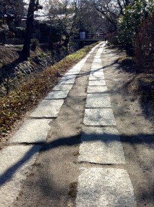 27628589_10156080055981228_5374431115478776_o