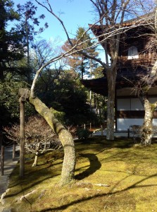 27709792_10156080055431228_3904477158564496123_o