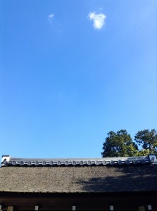 27709980_10156080055386228_5209338167803941453_o