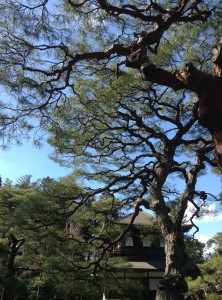 27710238_10156080055581228_3198542633399338256_o