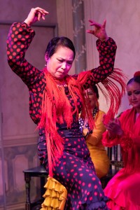 70979861_2624954210903814_7385959111793311744_o