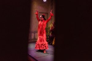 71771186_2624957734236795_1594941173431009280_o